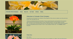 Desktop Screenshot of coclivia.com